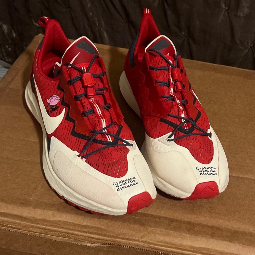 gyakusou zoom pegasus